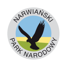 Logo NPN